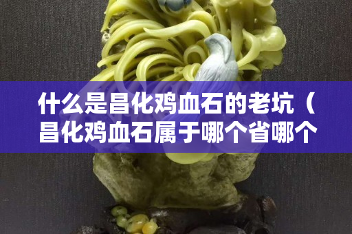 什么是昌化雞血石的老坑（昌化雞血石屬于哪個省哪個市）