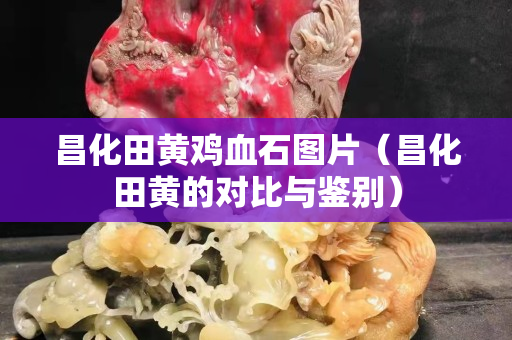 昌化田黃雞血石圖片（昌化田黃的對(duì)比與鑒別）