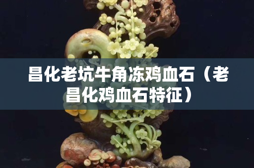昌化老坑牛角凍雞血石（老昌化雞血石特征）