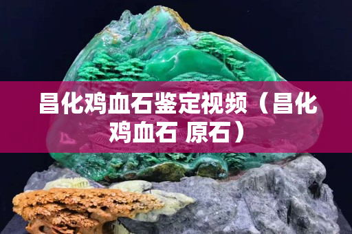 昌化雞血石鑒定視頻（昌化雞血石 原石）