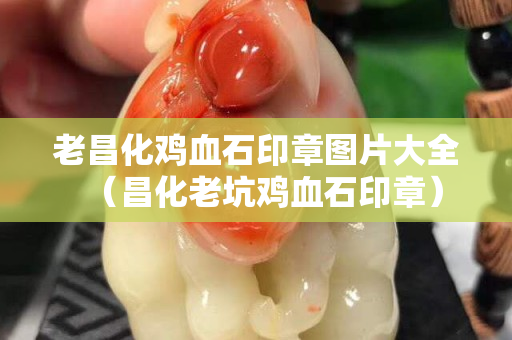老昌化雞血石印章圖片大全（昌化老坑雞血石印章）