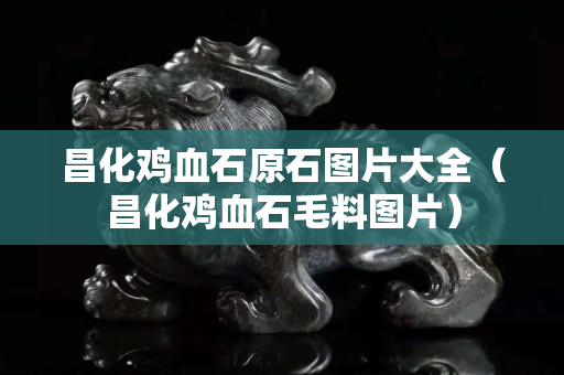 昌化雞血石原石圖片大全（昌化雞血石毛料圖片）