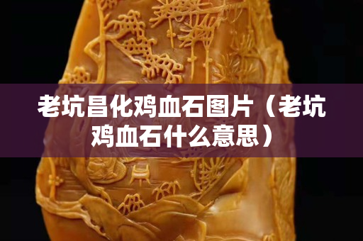 老坑昌化雞血石圖片（老坑雞血石什么意思）