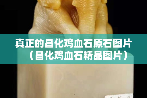 真正的昌化雞血石原石圖片（昌化雞血石精品圖片）