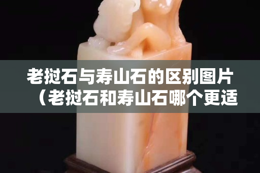 老撾石與壽山石的區(qū)別圖片（老撾石和壽山石哪個(gè)更適合刻章）