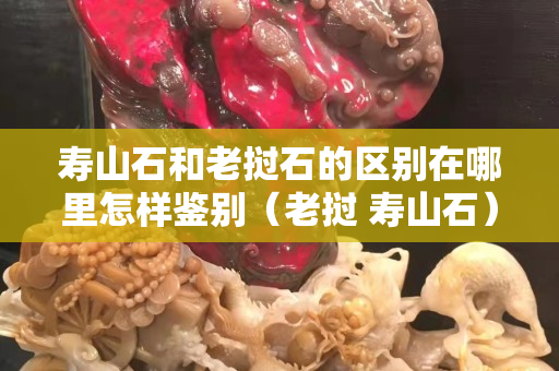 壽山石和老撾石的區別在哪里怎樣鑒別（老撾 壽山石）