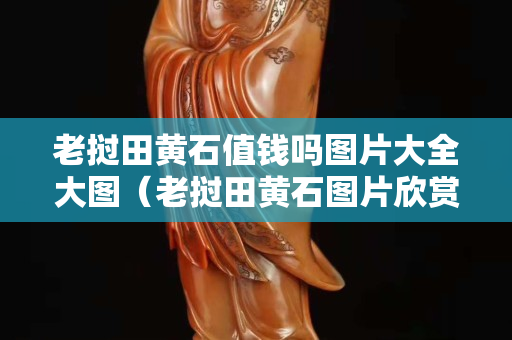 老撾田黃石值錢嗎圖片大全大圖（老撾田黃石圖片欣賞）
