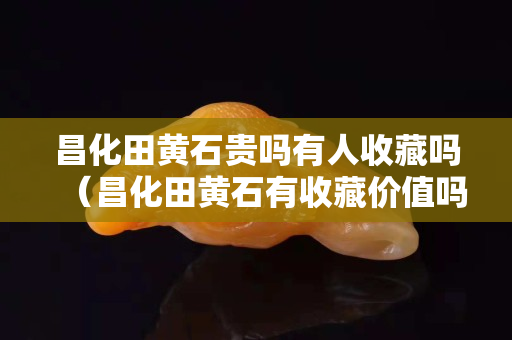 昌化田黃石貴嗎有人收藏嗎（昌化田黃石有收藏價值嗎）