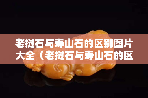 老撾石與壽山石的區別圖片大全（老撾石與壽山石的區別圖片大全集）