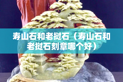 壽山石和老撾石（壽山石和老撾石刻章哪個好）