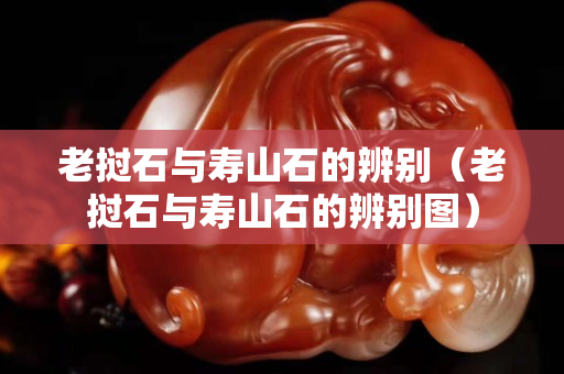 老撾石與壽山石的辨別（老撾石與壽山石的辨別圖）
