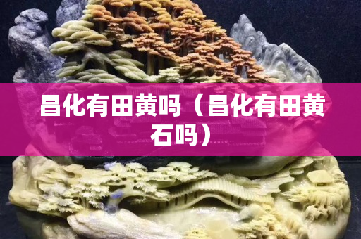 昌化有田黃嗎（昌化有田黃石嗎）