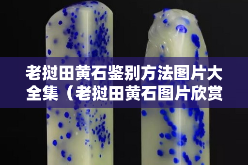 老撾田黃石鑒別方法圖片大全集（老撾田黃石圖片欣賞）