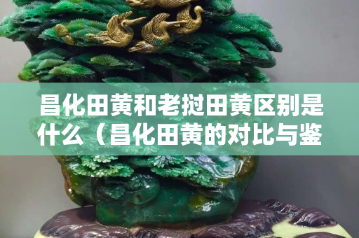 昌化田黃和老撾田黃區(qū)別是什么（昌化田黃的對(duì)比與鑒別）