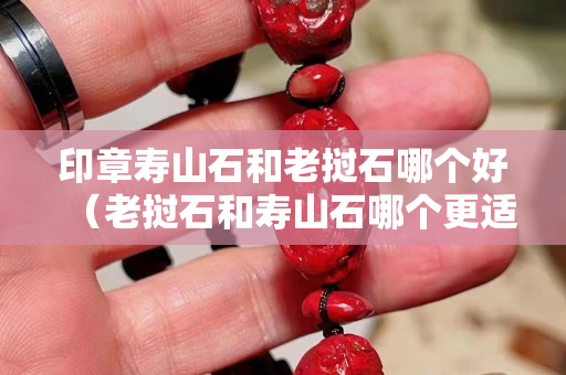 印章壽山石和老撾石哪個好（老撾石和壽山石哪個更適合刻章）