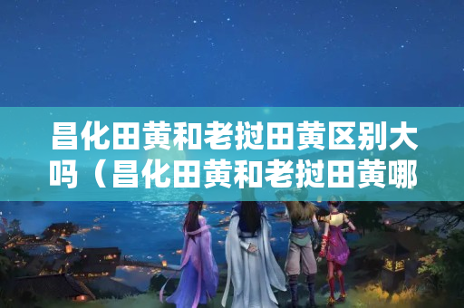 昌化田黃和老撾田黃區別大嗎（昌化田黃和老撾田黃哪個有收藏價值）