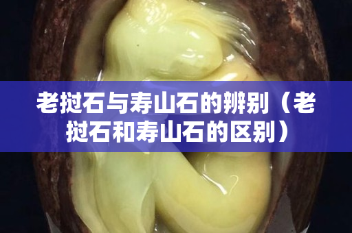 老撾石與壽山石的辨別（老撾石和壽山石的區別）