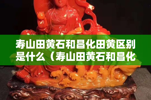 壽山田黃石和昌化田黃區別是什么（壽山田黃石和昌化田黃區別是什么意思）