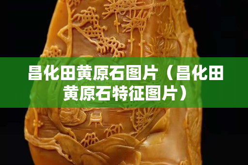 昌化田黃原石圖片（昌化田黃原石特征圖片）