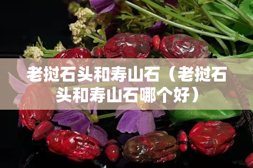 老撾石頭和壽山石（老撾石頭和壽山石哪個好）