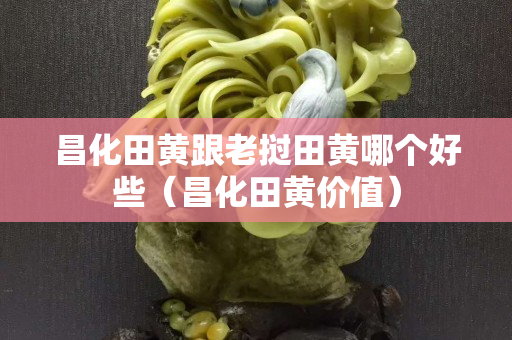 昌化田黃跟老撾田黃哪個好些（昌化田黃價值）