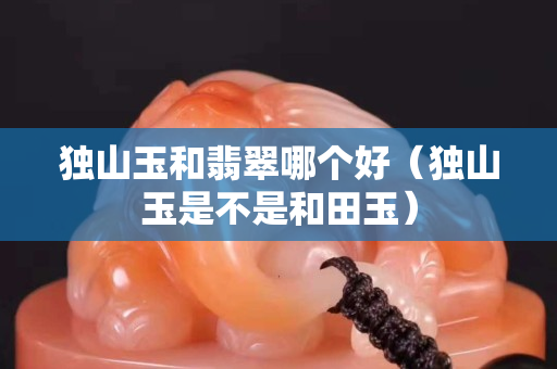 獨山玉和翡翠哪個好（獨山玉是不是和田玉）