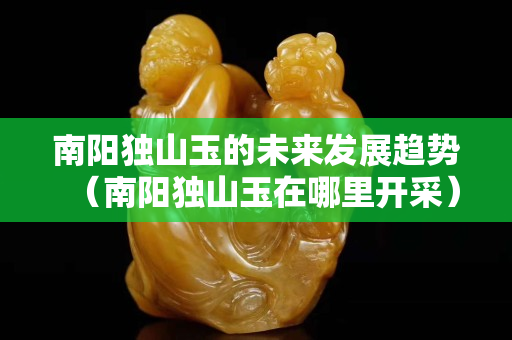 南陽(yáng)獨(dú)山玉的未來(lái)發(fā)展趨勢(shì)（南陽(yáng)獨(dú)山玉在哪里開(kāi)采）