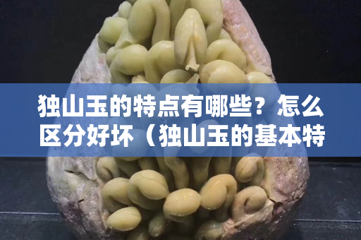 獨(dú)山玉的特點(diǎn)有哪些？怎么區(qū)分好壞（獨(dú)山玉的基本特征）