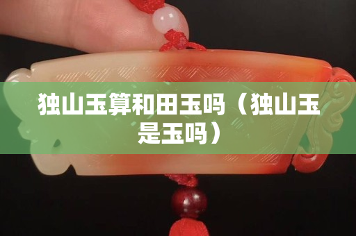 獨山玉算和田玉嗎（獨山玉是玉嗎）