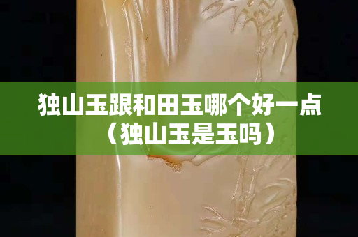 獨山玉跟和田玉哪個好一點（獨山玉是玉嗎）