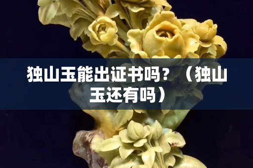 獨山玉能出證書嗎？（獨山玉還有嗎）