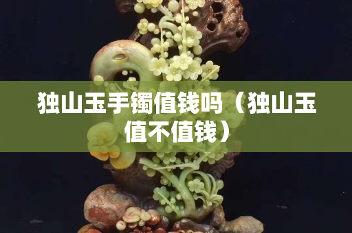 獨山玉手鐲值錢嗎（獨山玉值不值錢）