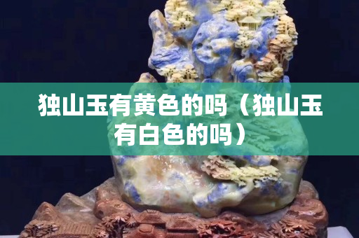 獨山玉有黃色的嗎（獨山玉有白色的嗎）