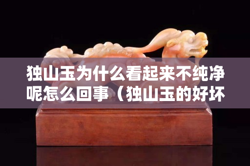 獨山玉為什么看起來不純凈呢怎么回事（獨山玉的好壞）