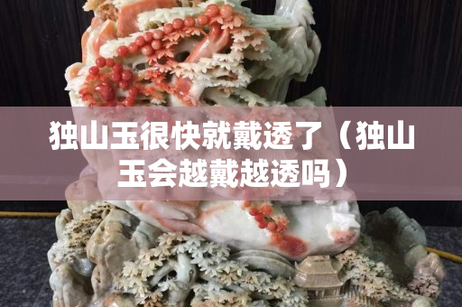 獨山玉很快就戴透了（獨山玉會越戴越透嗎）
