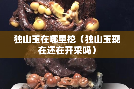 獨山玉在哪里挖（獨山玉現在還在開采嗎）