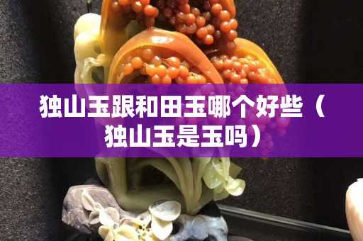 獨山玉跟和田玉哪個好些（獨山玉是玉嗎）