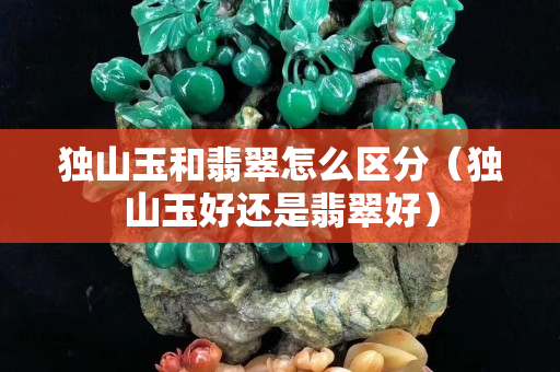 獨(dú)山玉和翡翠怎么區(qū)分（獨(dú)山玉好還是翡翠好）