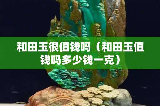 和田玉很值錢嗎（和田玉值錢嗎多少錢一克）