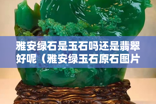 雅安綠石是玉石嗎還是翡翠好呢（雅安綠玉石原石圖片）