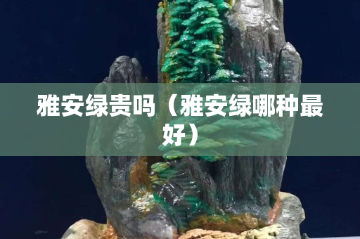 雅安綠貴嗎（雅安綠哪種最好）