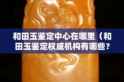 和田玉鑒定中心在哪里（和田玉鑒定權威機構有哪些？）