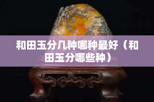 和田玉分幾種哪種最好（和田玉分哪些種）