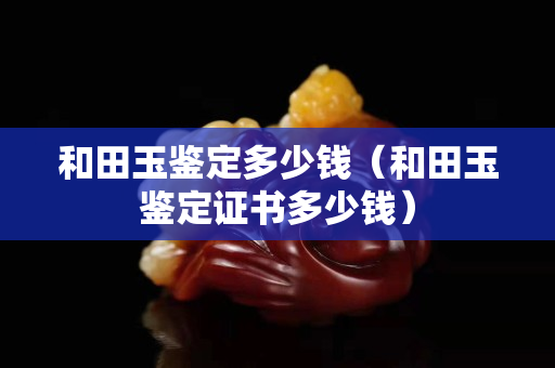 和田玉鑒定多少錢（和田玉鑒定證書多少錢）
