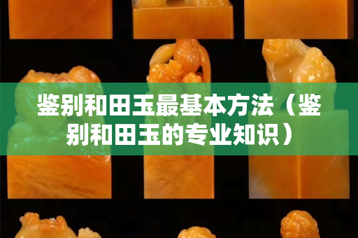 鑒別和田玉最基本方法（鑒別和田玉的專業知識）