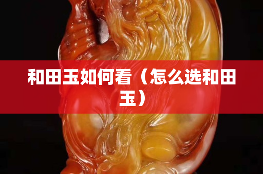 和田玉如何看（怎么選和田玉）
