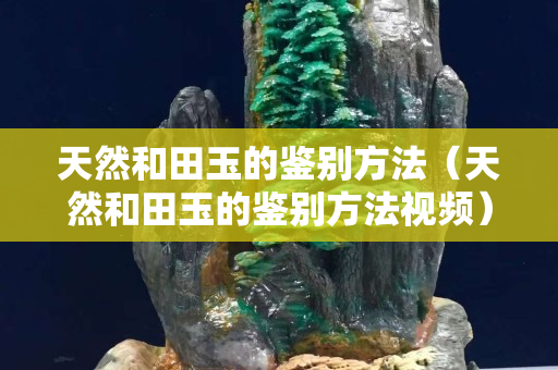 天然和田玉的鑒別方法（天然和田玉的鑒別方法視頻）