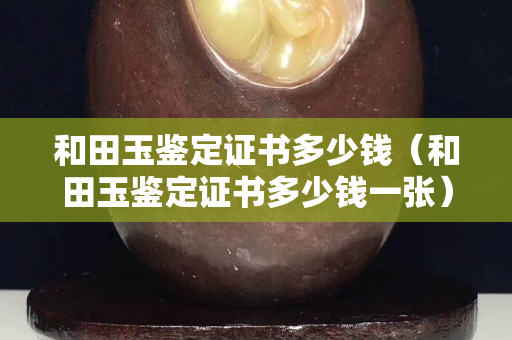 和田玉鑒定證書多少錢（和田玉鑒定證書多少錢一張）