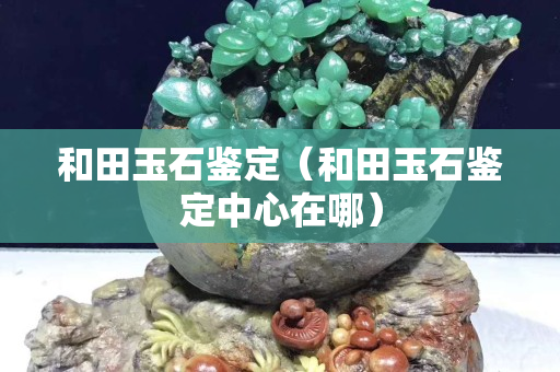 和田玉石鑒定（和田玉石鑒定中心在哪）