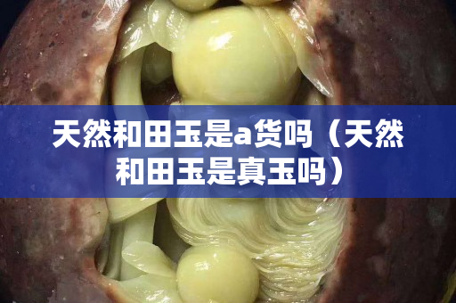 天然和田玉是a貨嗎（天然和田玉是真玉嗎）
